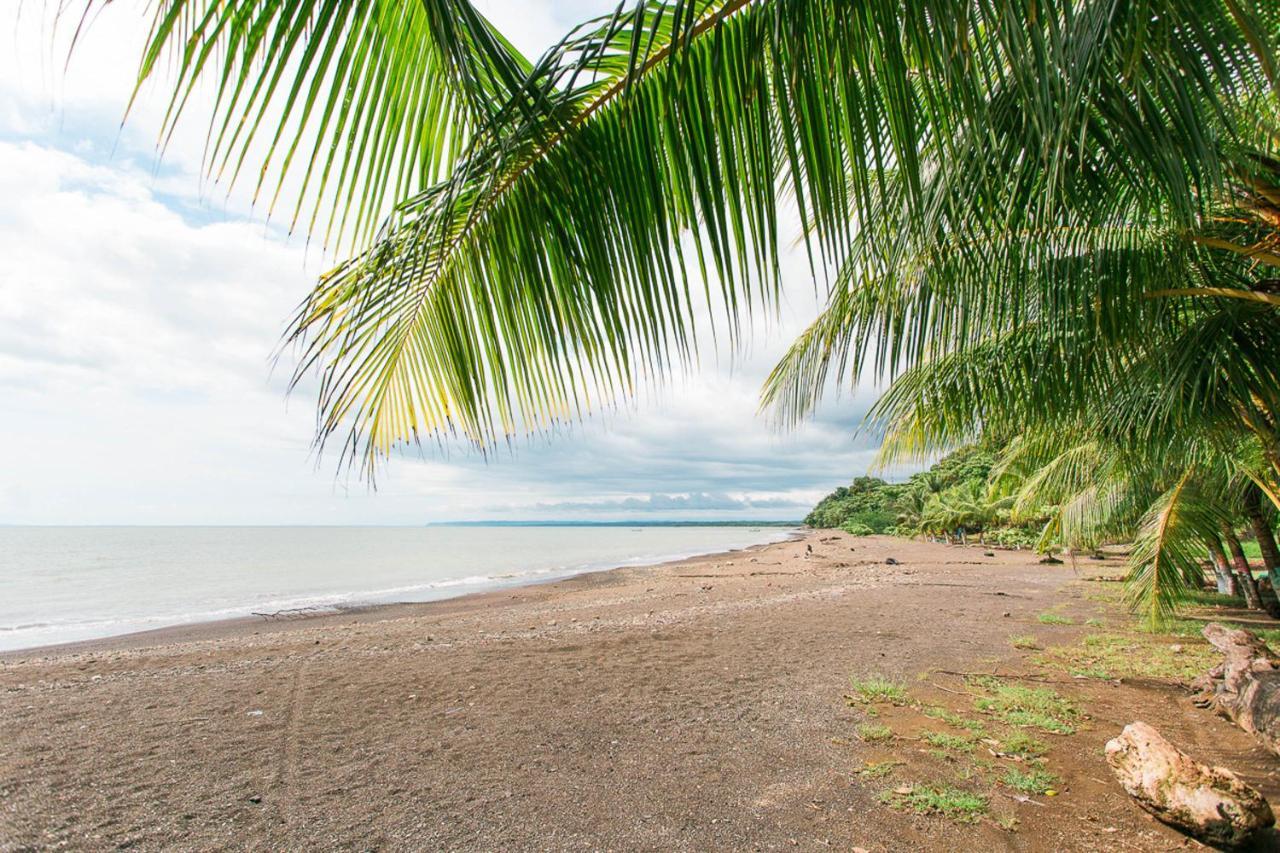 Bed and breakfast Pacific Edge Eco Dominical