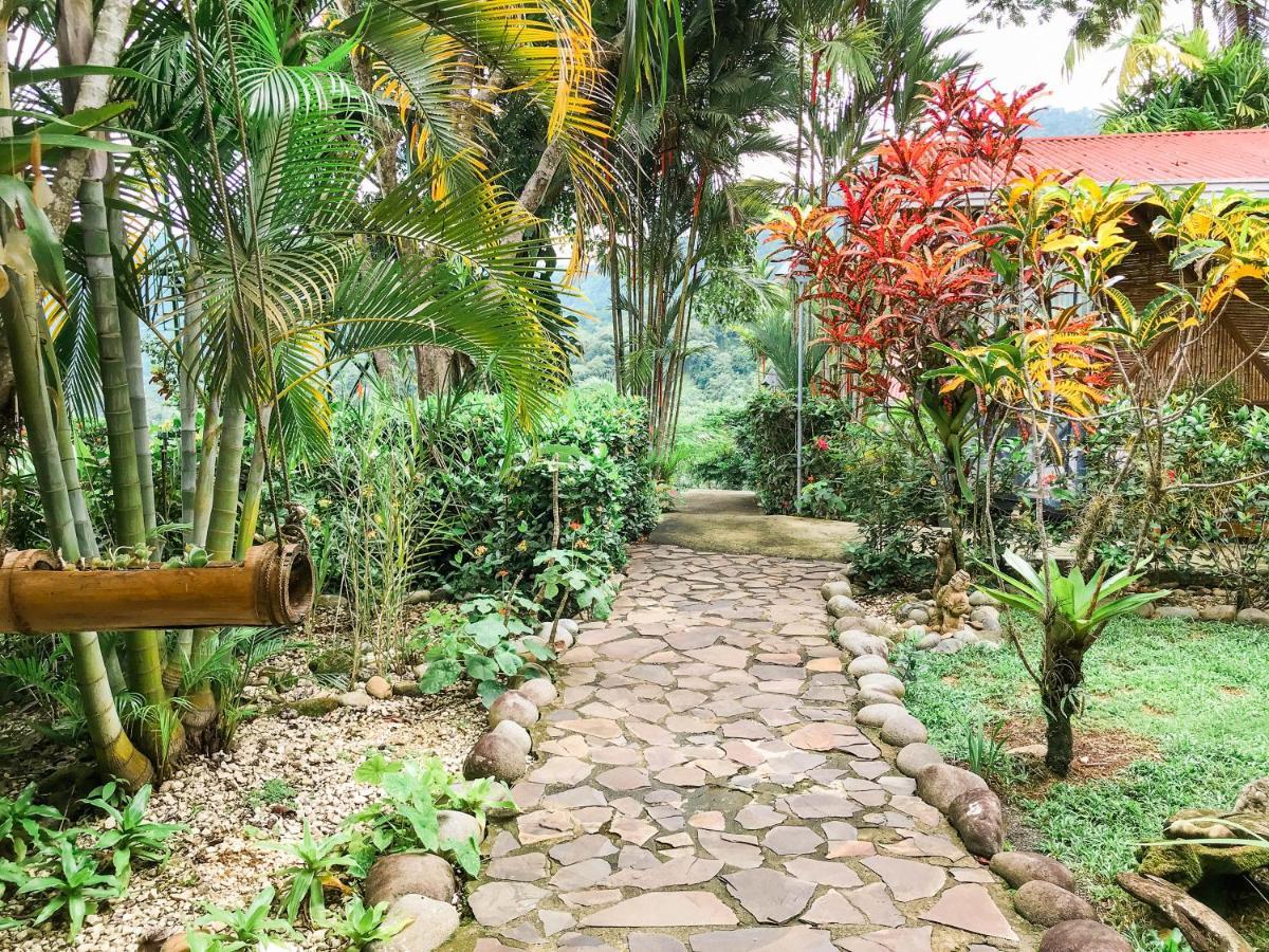 Bed and breakfast Pacific Edge Eco *