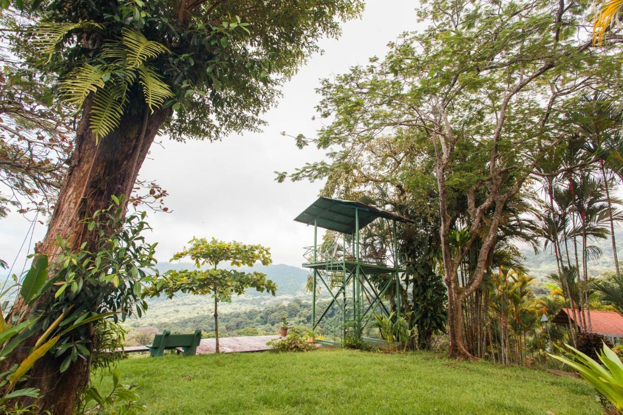 Bed and breakfast Pacific Edge Eco