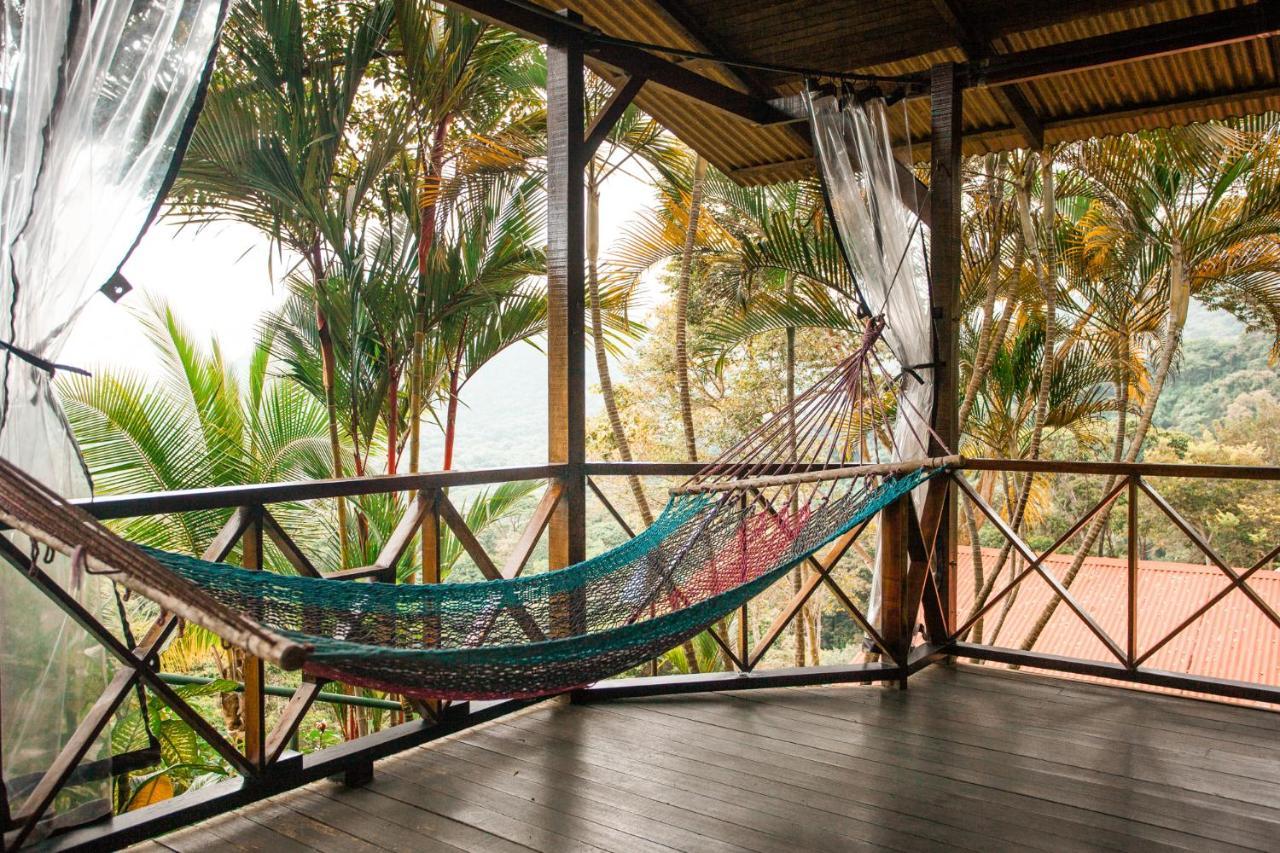 Pacific Edge Eco Bed and breakfast *